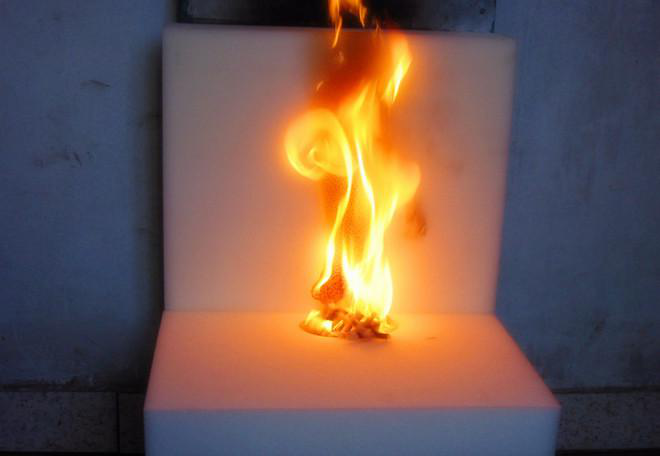 55534fsac.png 55534fsac.png