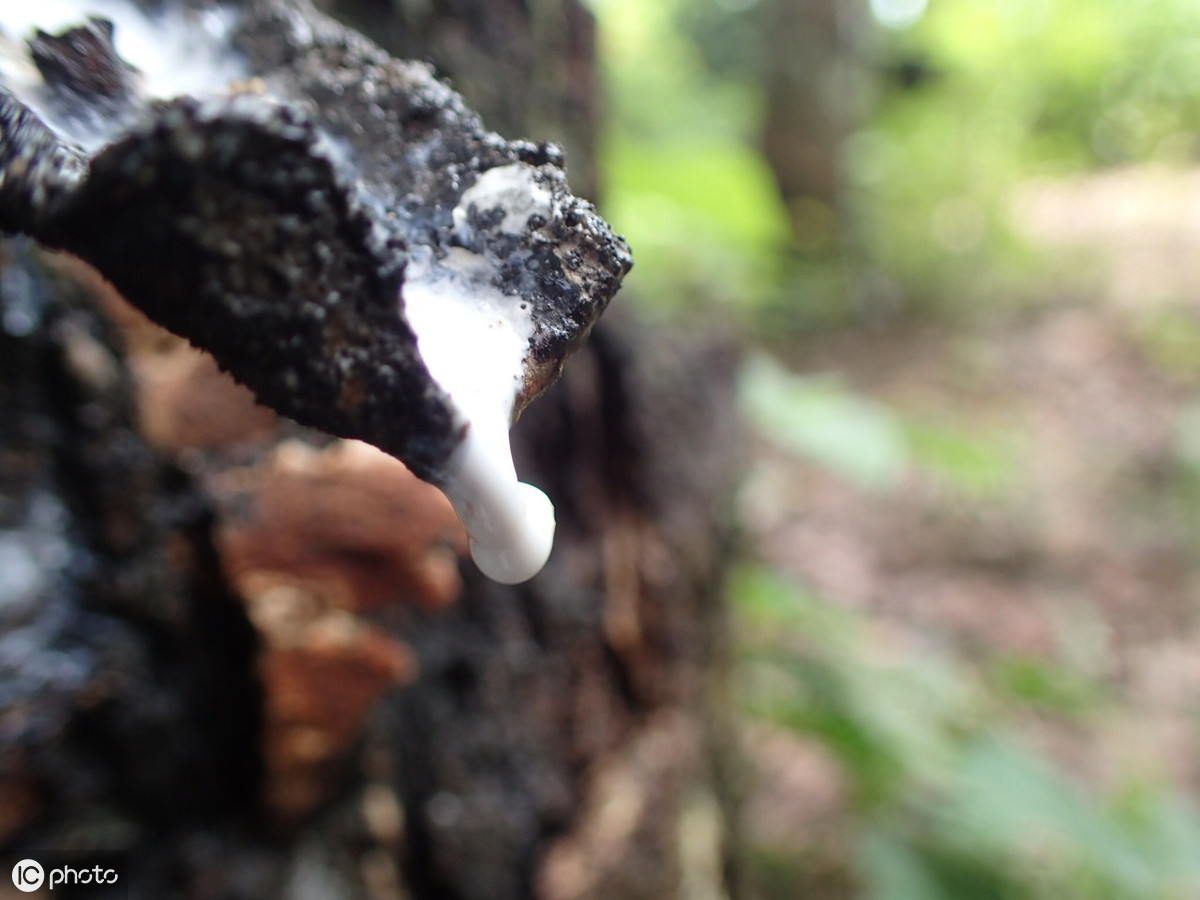 66645sf.jpg 66645sf.jpg